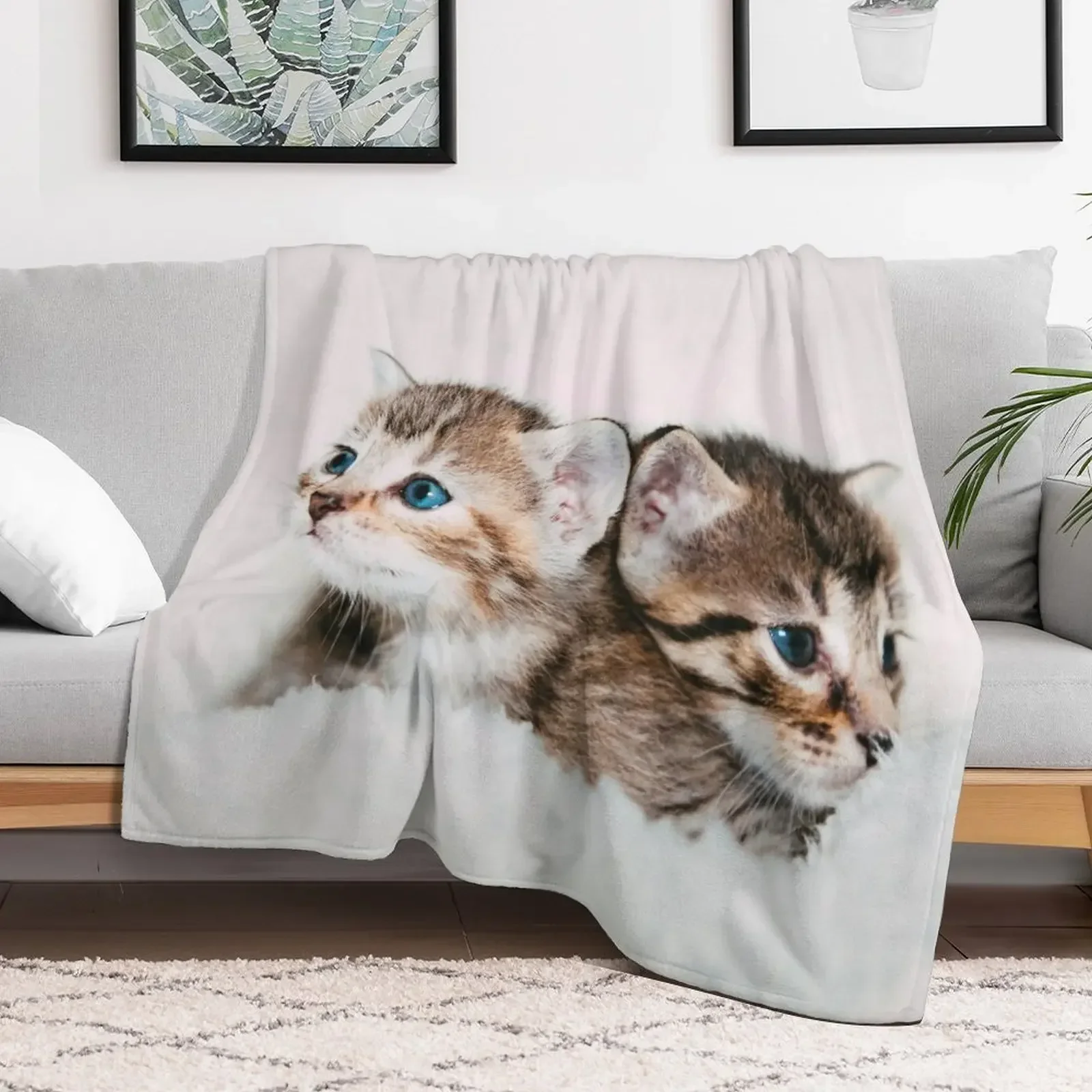 

Two Cute Kittens Throw Blanket Retros Polar Bed covers Blankets
