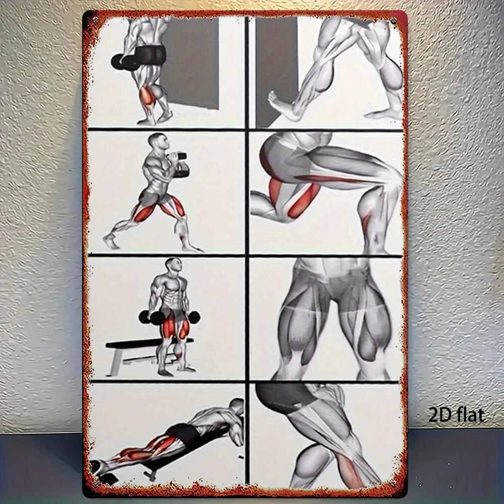 Póster de tabla de músculos de fitness, guía de prensa de sentadillas/deadales/banco, decoración de pared de Metal preperforada para gimnasio en casa, educación de alta calidad, 1 ud.