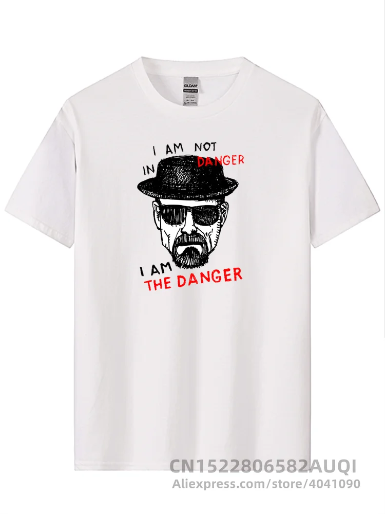 Camiseta de manga corta para hombre, camisa informal con estampado de Heisenberg, 100% algodón