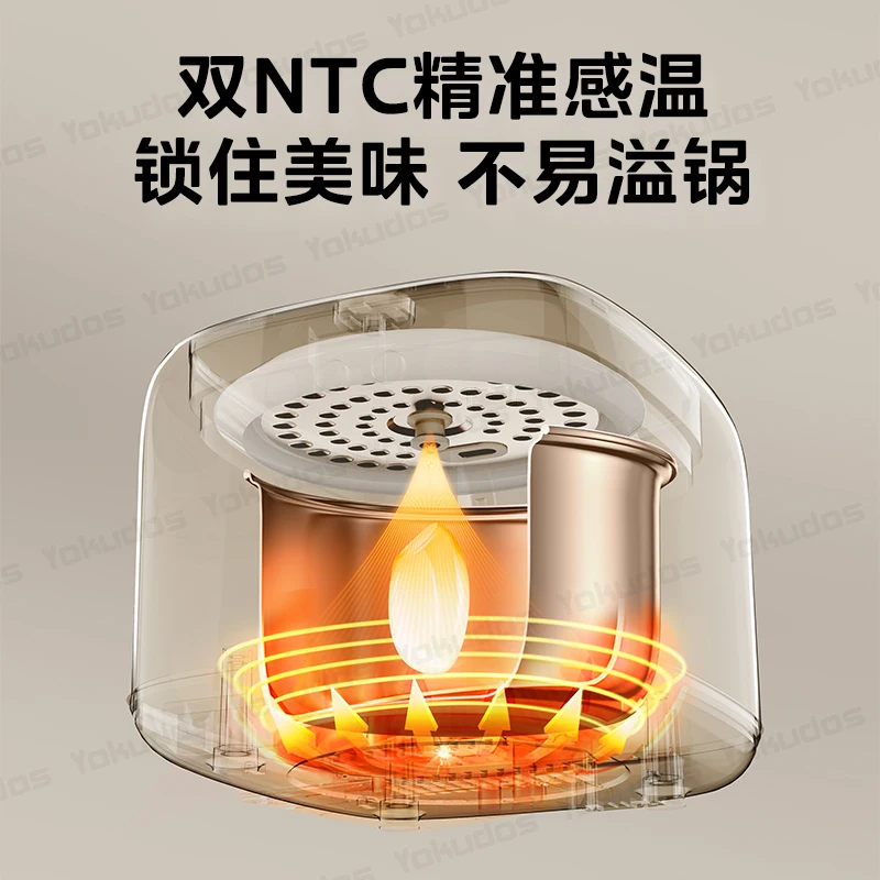 جهاز طبخ الأرز 220 فولت متعدد الوظائف للاستخدام المنزلي 304 بطانة داخلية من الفولاذ المقاوم للصدأ ذكي منخفض السكر الأرز 1-4 أشخاص 0 طلاء Cuit Riz #5