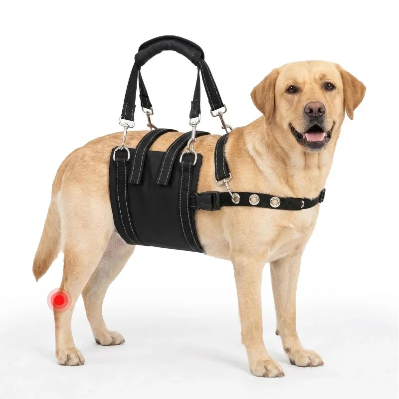 Senior Dog Lift Harness Rehabilitation Mobility Aid Vest for Disabled Pet Adjustable Walking Support Leash for Medium Large Dogs