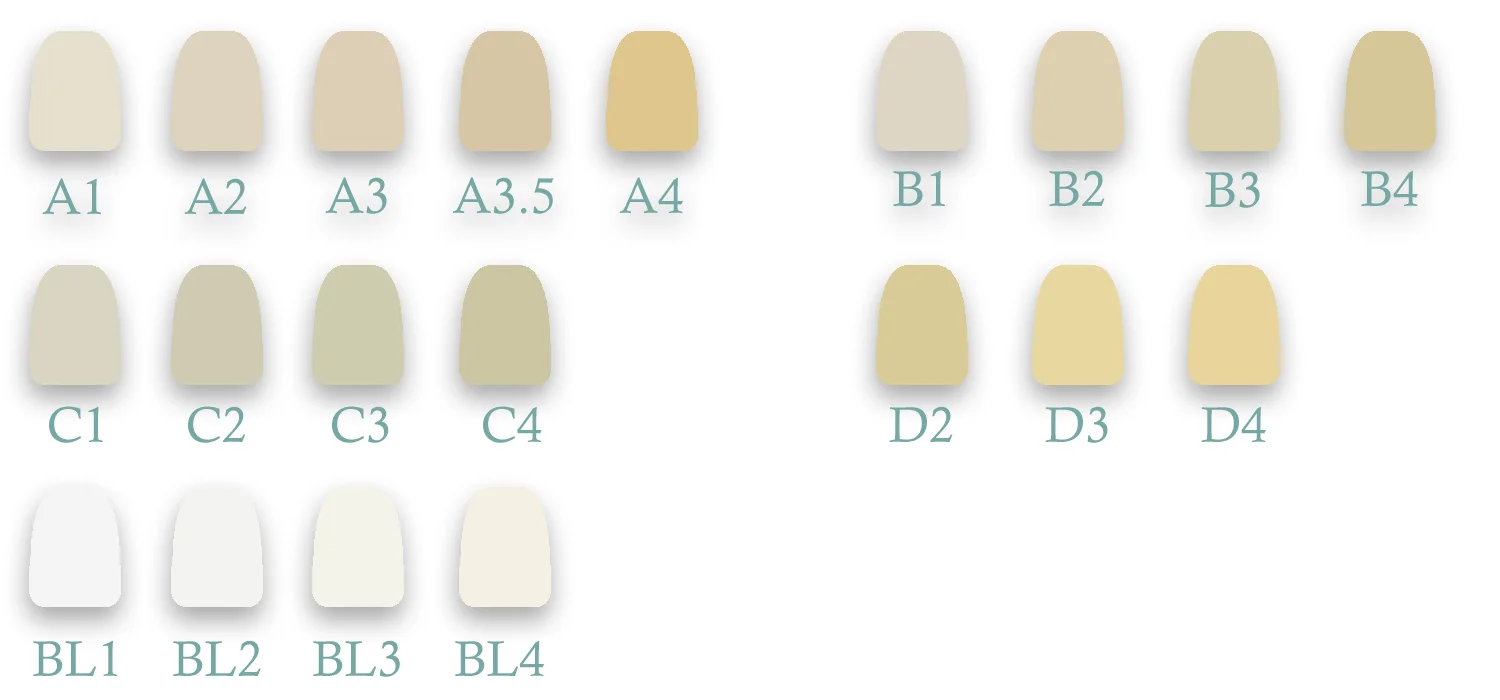 Sunnyzir E.max Cerec CAD litowe szkło disilikatowe-ceramiczne bloki w laboratorium dentystyczne CEREC CAD CAM bloki Vita16 odcienie dostępne