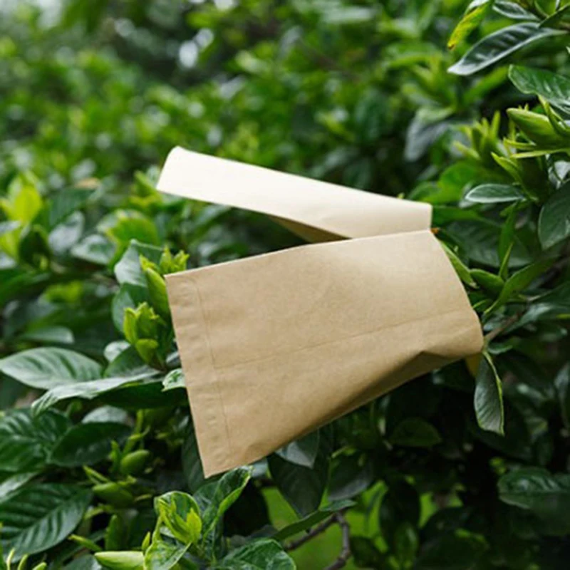 * Wholesale 100Pcs Kraft Paper Seed Protective Envelope Storage Bags Mini Envelopes Packets