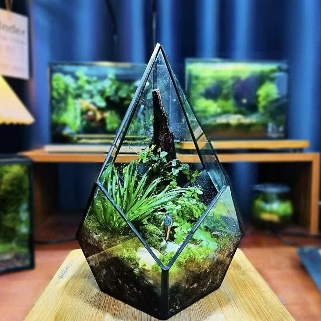 Four-surfaces Diamond Glass Geometric Terrarium Box Tabletop Succulent Planter Garden Terrariums for Plants/Succulents/Flowers