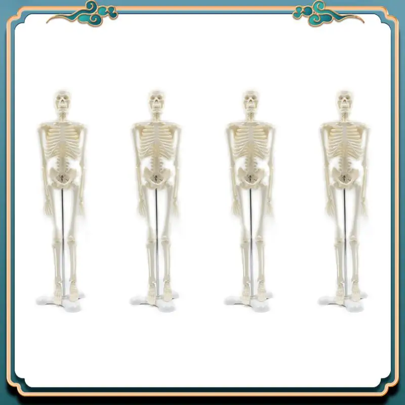 ABJG-4 個 45 センチメートル人間の解剖学的解剖学スケルトンモデルポスター学習援助解剖学人間の骨格モデル