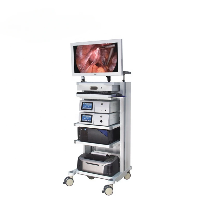 Medical Full HD Portable Intergrated Endoscopic Imaging System