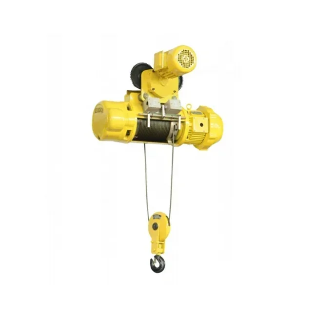 Electric Wire Rope Hoist Provided Wire Rope Lift Electric Winch 2 Tons CD MD Electric Hoist with High Quality Construction Hoist