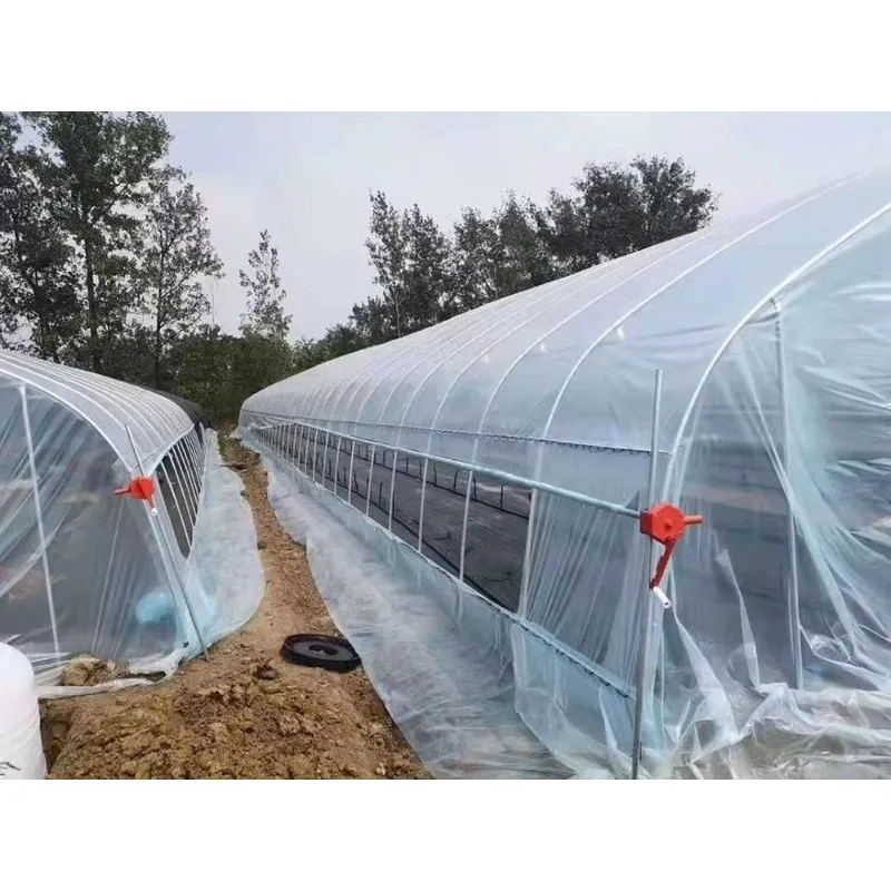 الدفيئة الزراعية على نطاق واسع البيت الساخن منزل دافئ تزايد خيمة مزرعة نفق البيت الأخضر