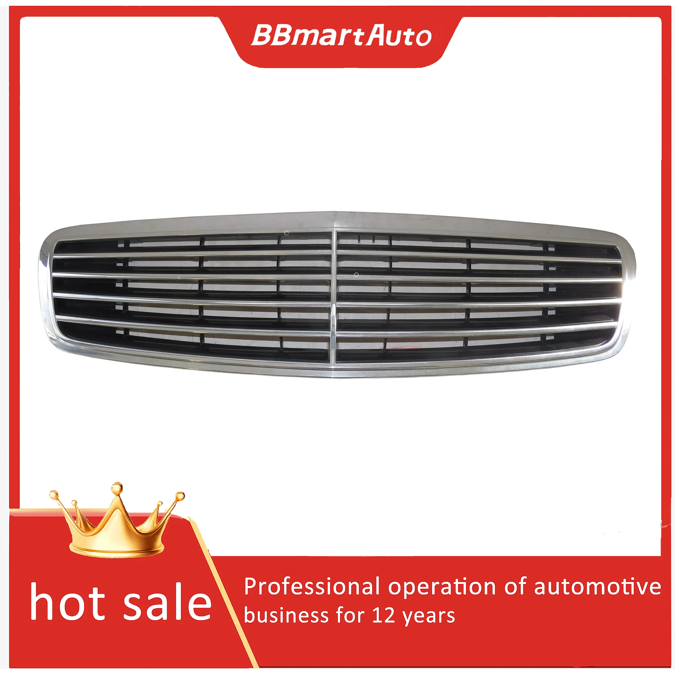

2208800383 Front Radiator Grille Trim For Mercedes Benz W220 S430 S500 S55 00