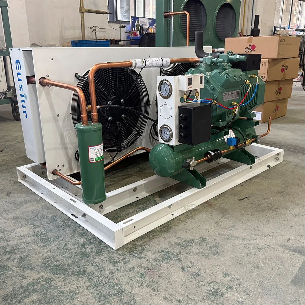 

Factory Professional Custom Energy Saving Refrigeration Equipment Semi Hermetic Customized Compressor Condensing Unit