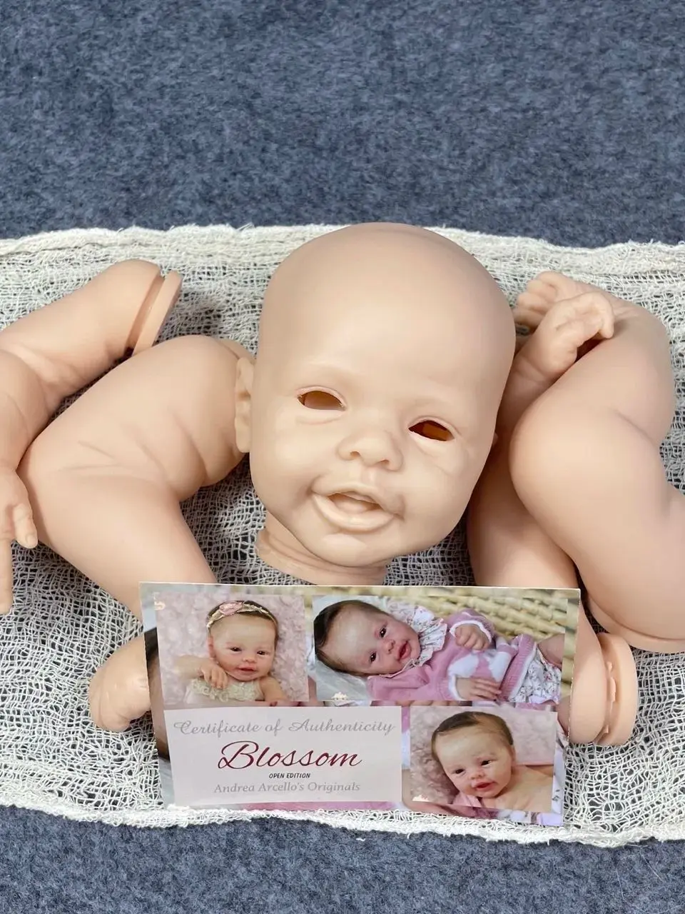 Neuankömmlinge 17 Zoll Reborn Kit Blüte mit graviertem Namen und Coa Reborn Baby Vinyl Puppe Kit unbemalte Puppen teile DIY Puppen form