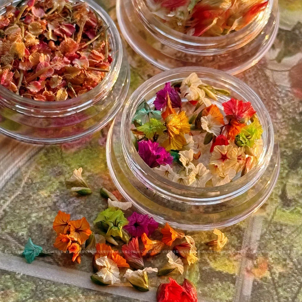 -الصيف الملون-الزهرة الجافة مسمار الملحقات صغيرة طبيعة التطريز فلوريت المجففة جرس الكركديه البتلة مسمار الفن زهر 404