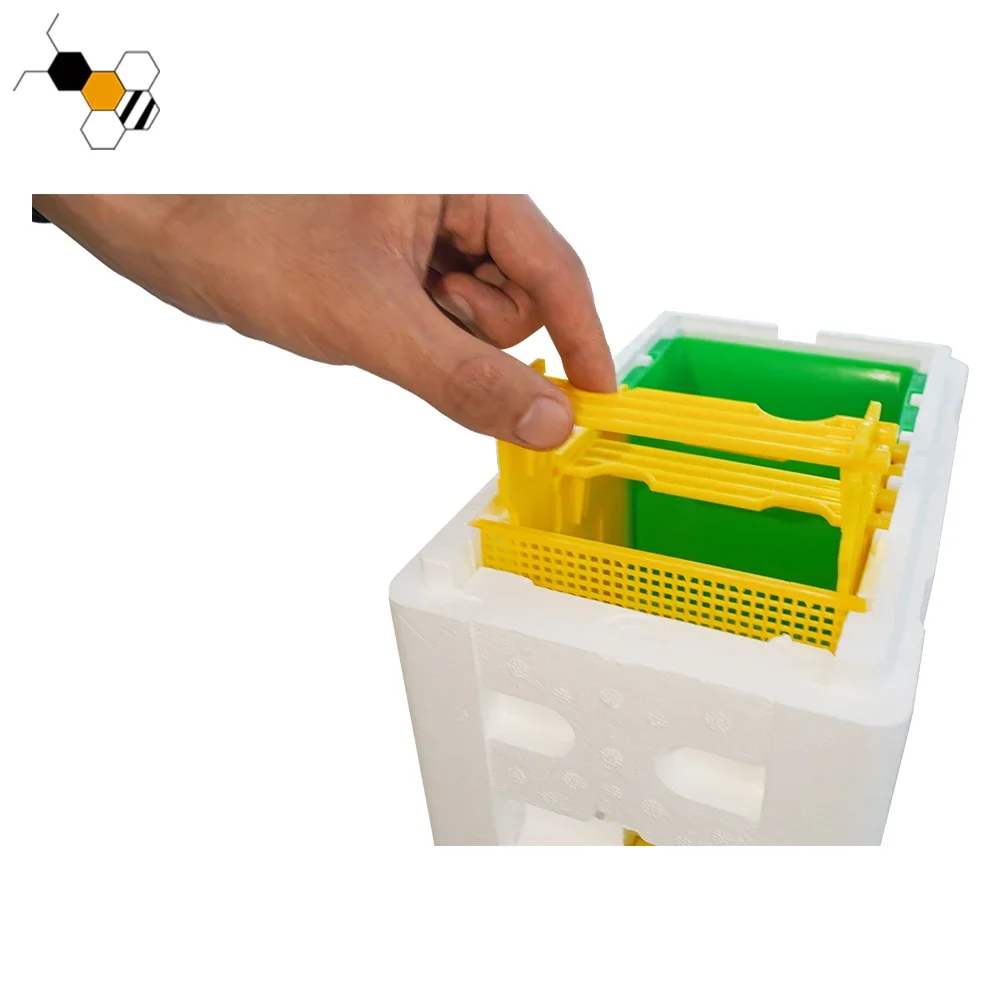 Plastic queen bee mating box mini mating box