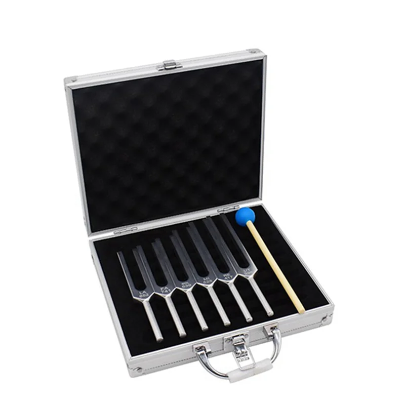 

Premium 6Pcs/Set Tuning Fork Sound Vibration Therapy Chakra Steel Music Kit Healing Sound Vibration Therapy Reusable Durable