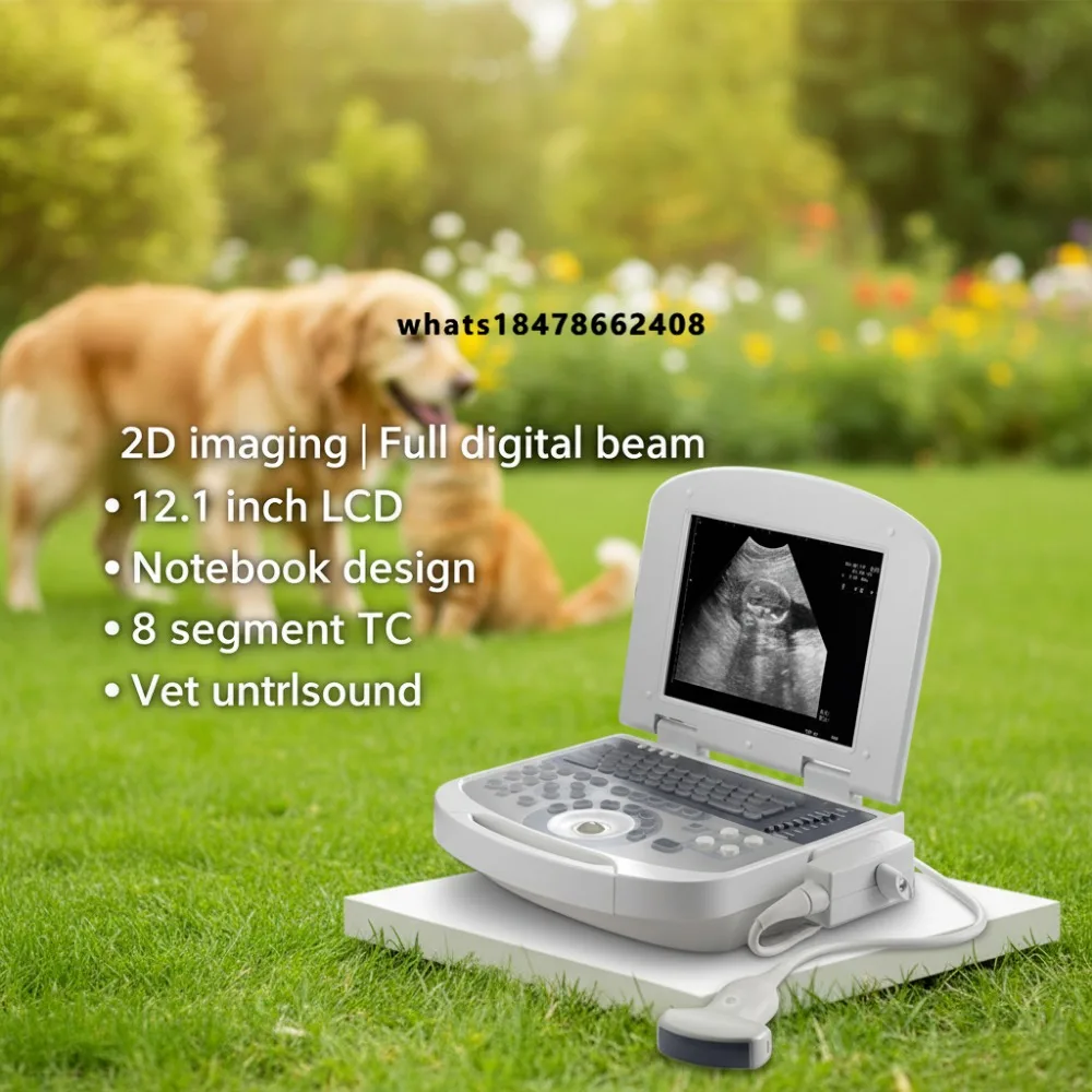 EUR VET W1.0 Veterinary Black and White Ultrasonic 2D Imaging Full Digital Beam of light Imaging 12.1 inch LCD Notebook Design