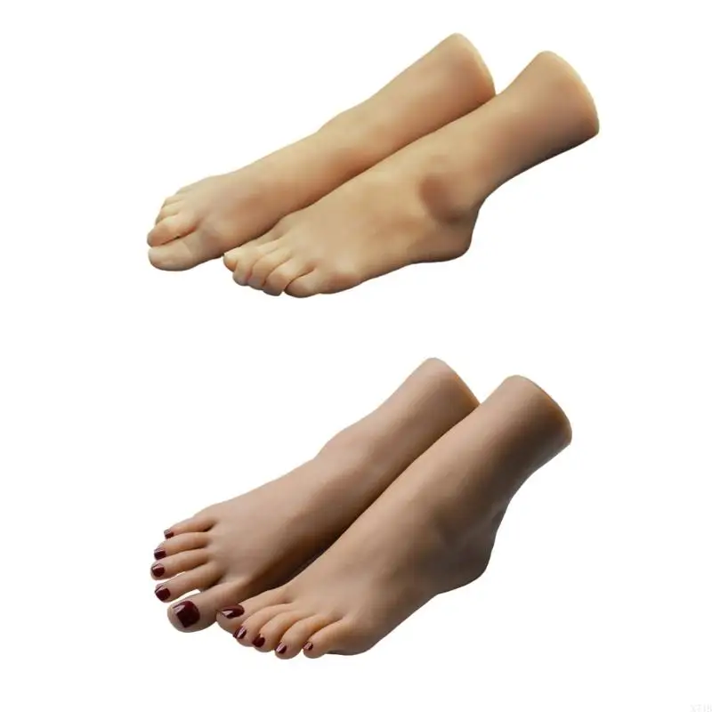 نموذج عرض قدم من درجة الاستوديو مع تفاصيل دقيقة للعظام، دعامة عرض محمولة لتعليم الفنون البصرية