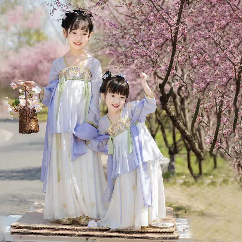 

Chinese Hanfu Dress Kids Ancient Traditional Embroidered Hanfu Dresses Carnival Fairy Dance Costume Girls Hanfu Dress Cosplay