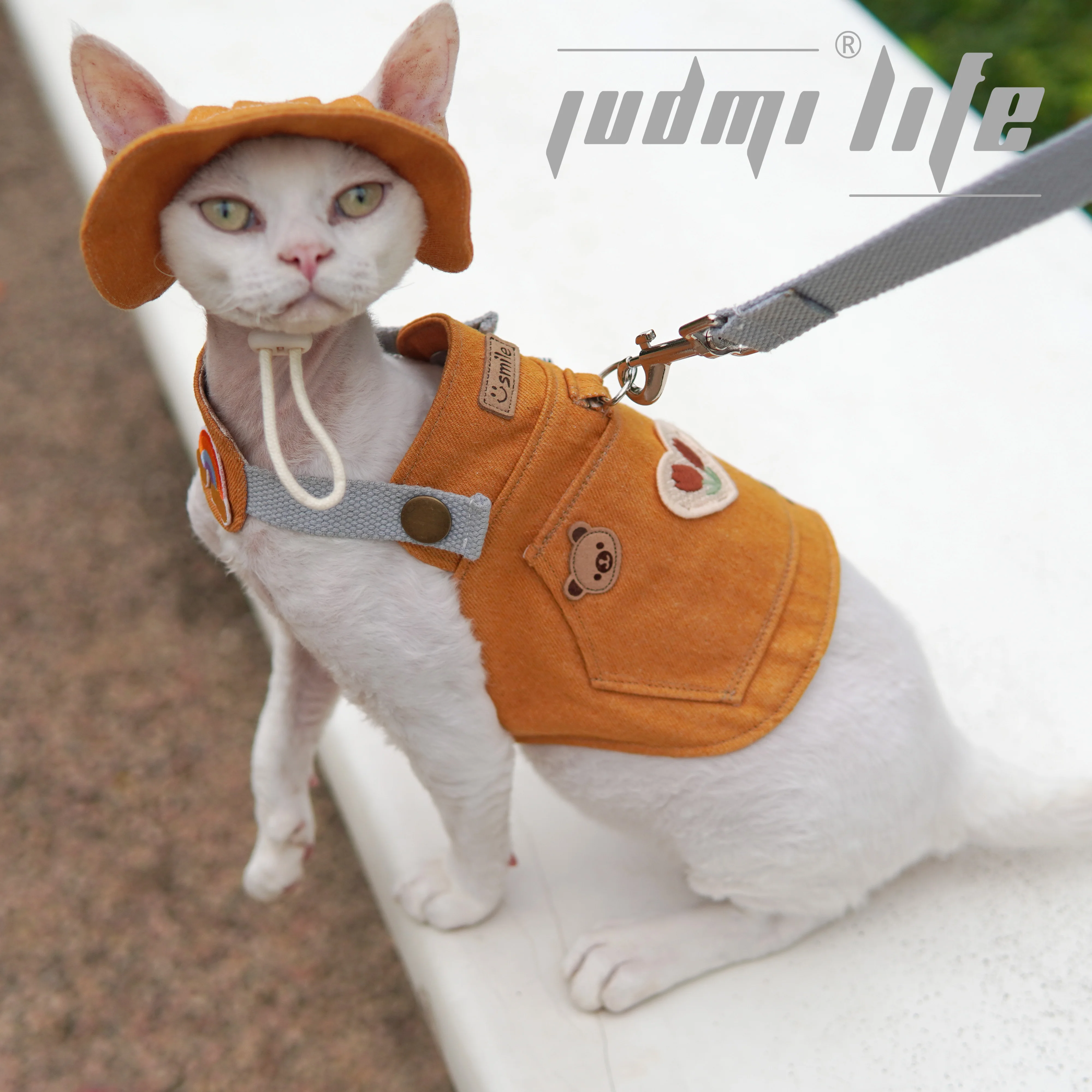

Luxury Sphynx Cat Harness Spring Summer Kittens Vest with Hat Harness Collar for Devon Adjustable Harness for Pet Travel Walk