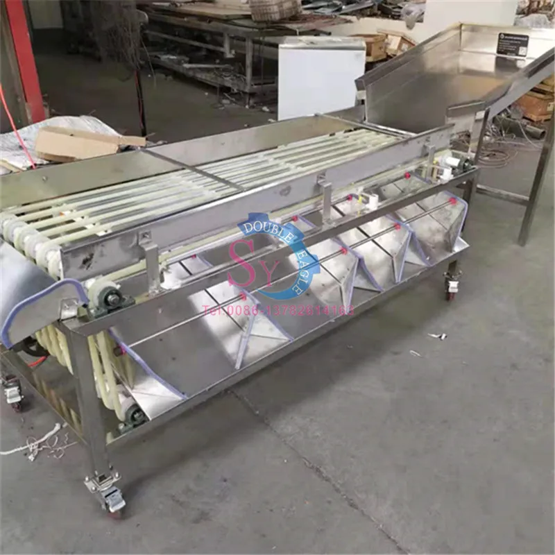 Máquina clasificadora profesional de alto rendimiento, 5 niveles, naranja, frutas y verduras, cereza, tomate, nuez, patata pequeña, cítricos