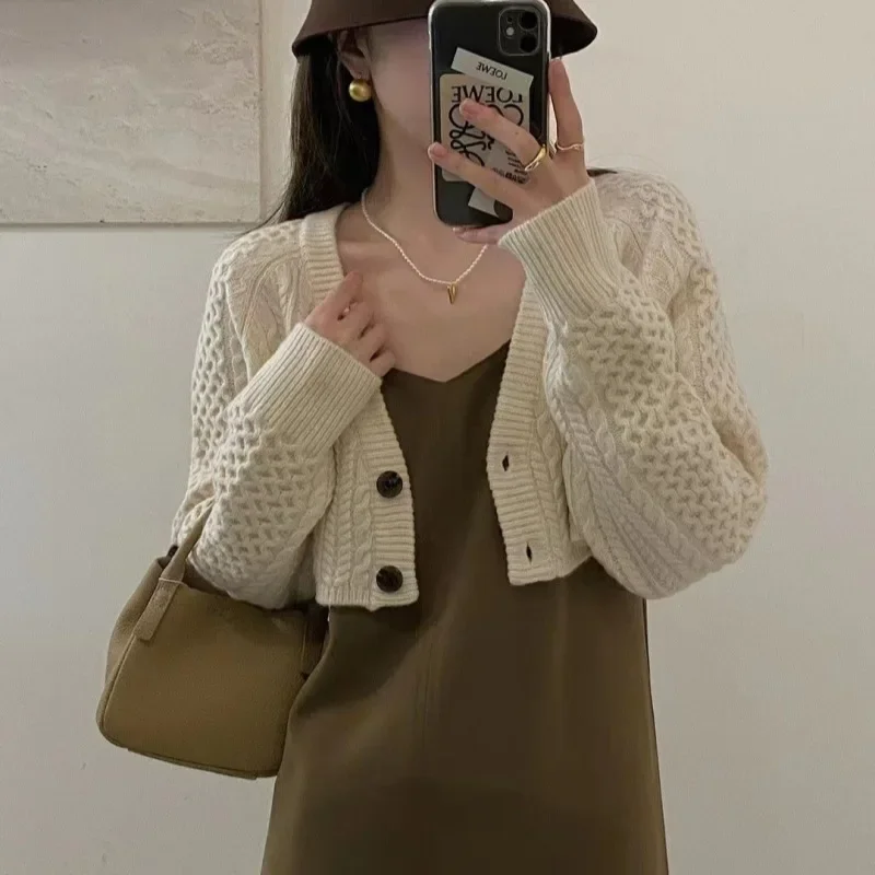 Women's New Autumn Fashion Retro Twist Knitted Cardigan Coat Loose Solid Color Short Fashion Soft Waxy V-neck Two-button Sweater