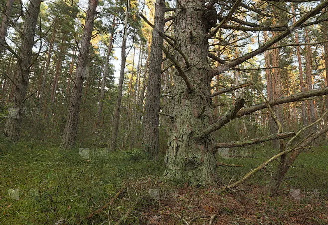 

4pcs 102×44mm RC Tires 17mm Hex for Arrma 1/7 Infraction/Felony/Limitless - High-Grip Upgrade Tires (Durable & Fast)