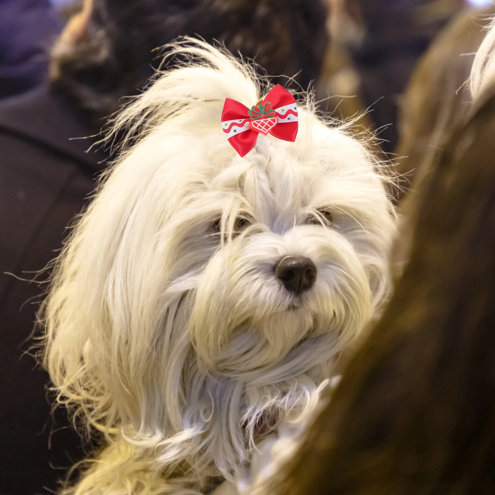 

20 Pcs Bow for Pets Dog Bows with Rubber Bands Bowties Small Dogs Ear Grooming