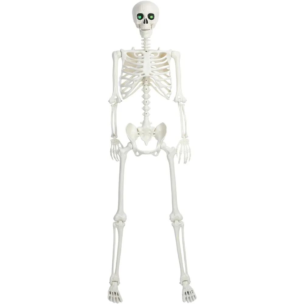 

5.5Ft Halloween Skeleton, Life Size Imitation Skeleton, Full Body Realistic Human Bones with Posable Joints, 165cm Pirate Stylin