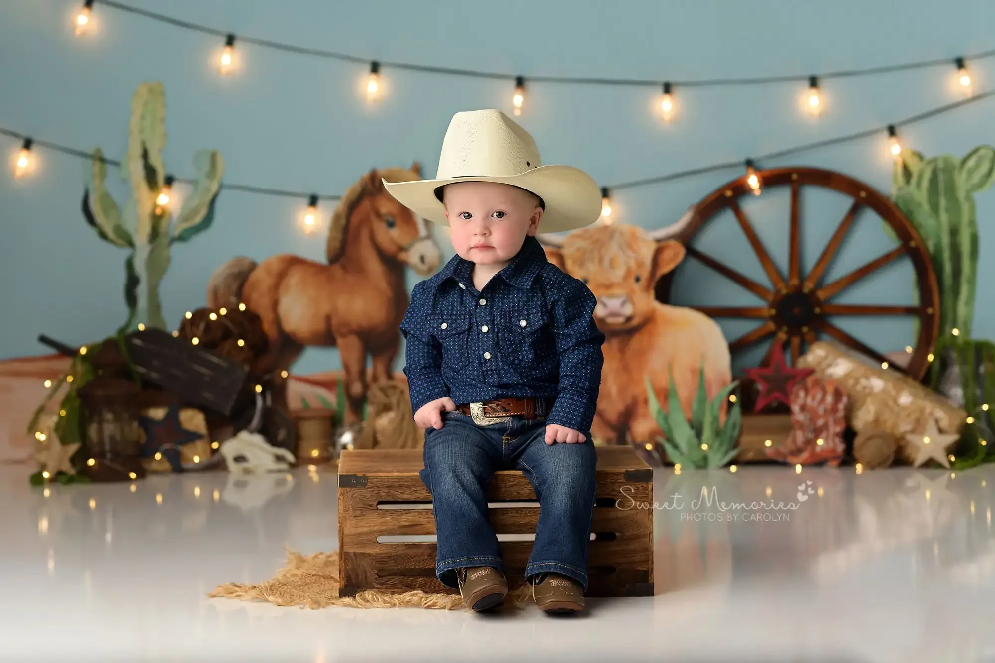 Cute Cowboy Backdrops Kids Baby Birthday Cake Smash Props Child Adult Photocall Cow Horse Photography Decors Background