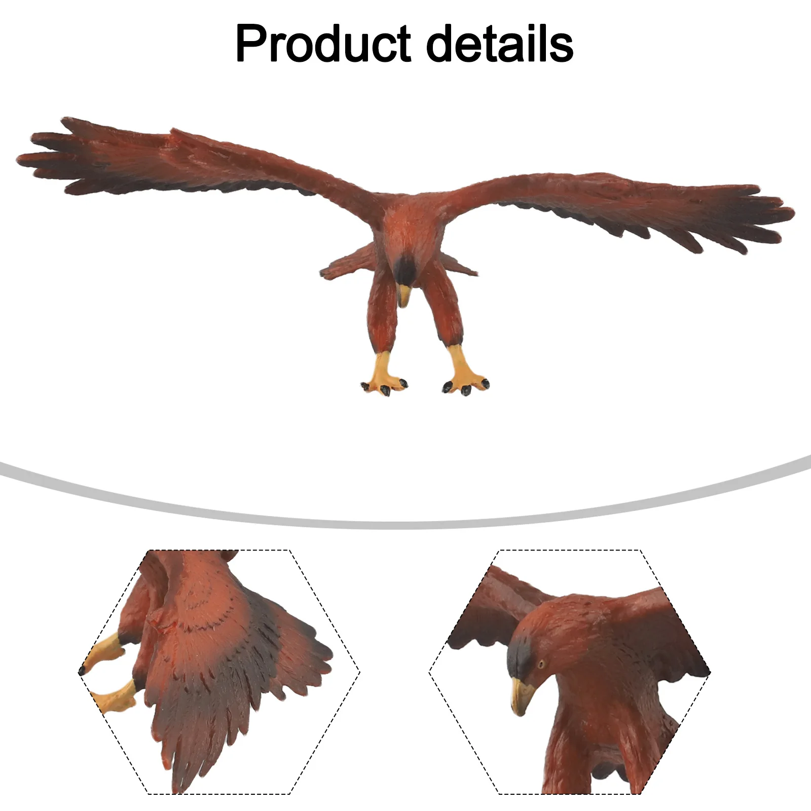 Animal Knowledge Home Decor Office Decor Artificial for eagle Model for educational for eagle Model Long-lasting Vivid Postures