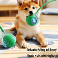 Dog Cat Interactive Ball Toy, Automatic Rolling Ball with Tail, Rechargeable Smart Pet Toy for Dogs Cats, Fun Motion Play Mouse