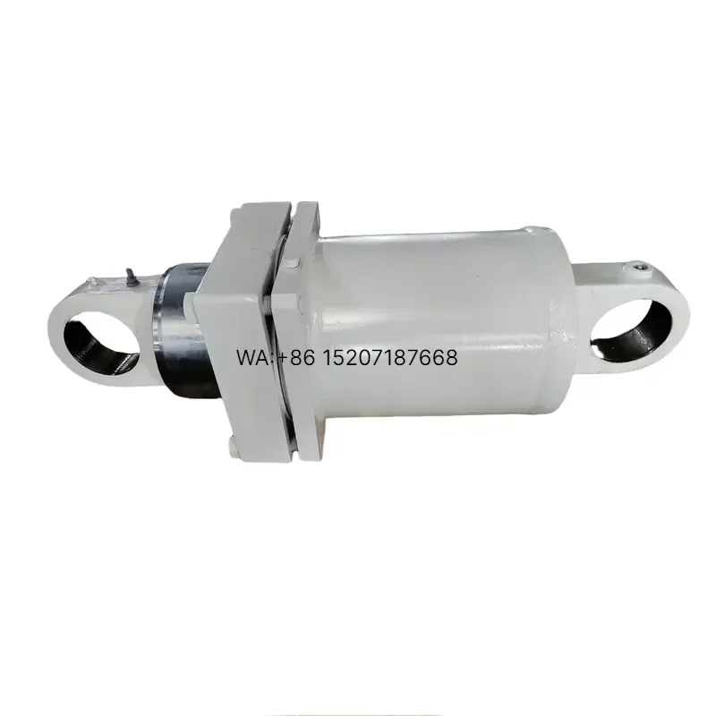 Wmwmnu for  TR100 TR50 Mining Dump Truck Rear Suspension Cylinder Assembly 9079698 OEM Replacement Parts