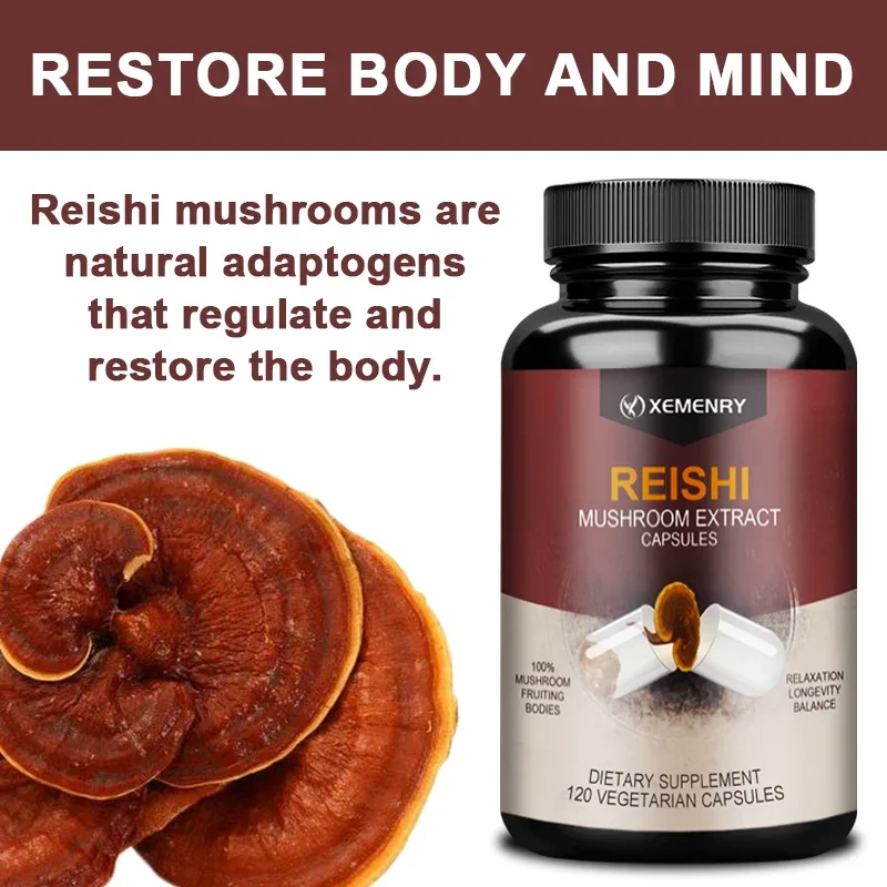 Ganoderma Lucidum Capsules - Restore The Body and Improve Sleep, Improve Cognitive Function