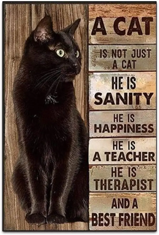 1Q,A Cat Is Not Jus… - image