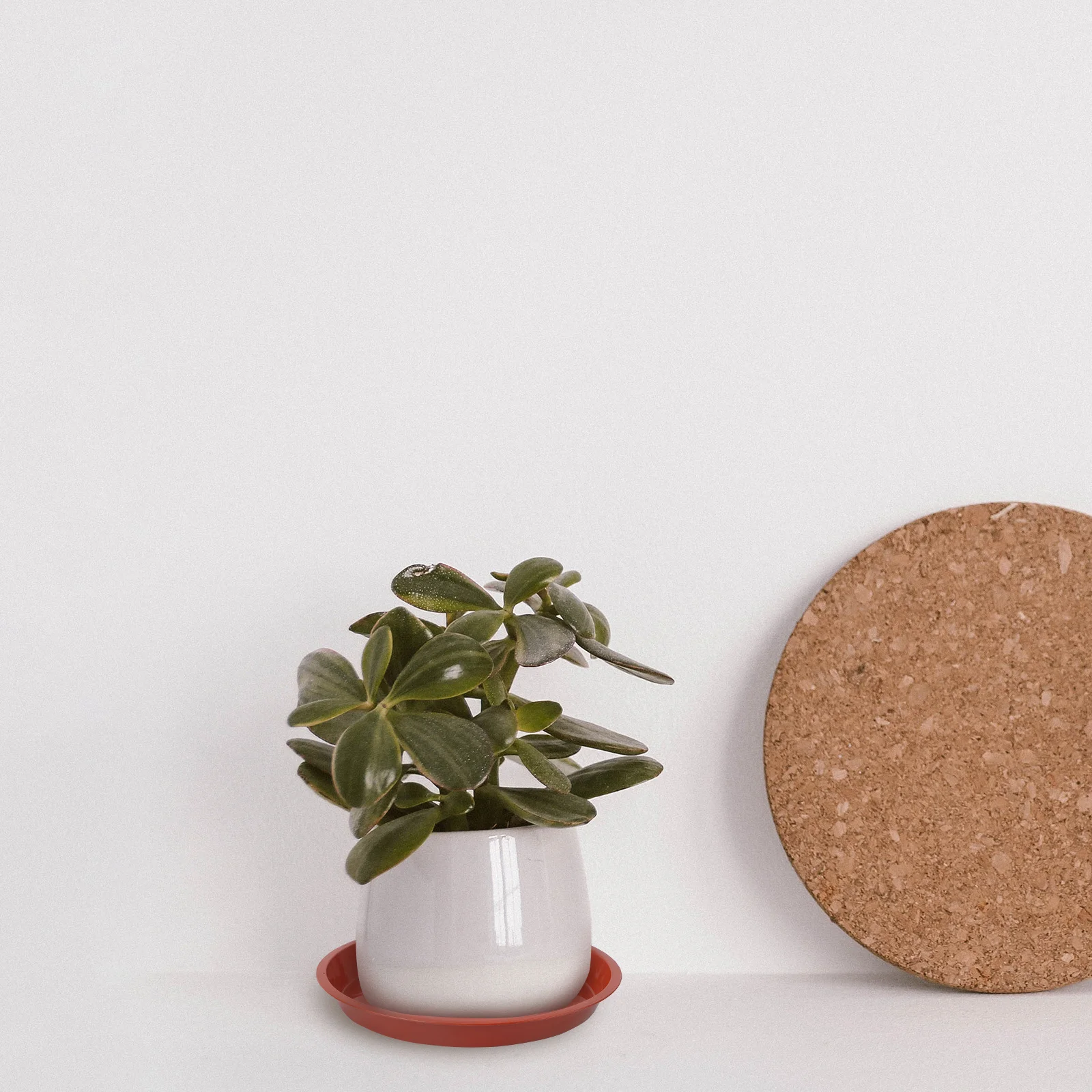 

10Pcs Thick Plastic Plant Pot Saucer Flower Pot Tray Heavy Duty Anti-Crack Slip Resistant Garden Balcony Indoor Plates