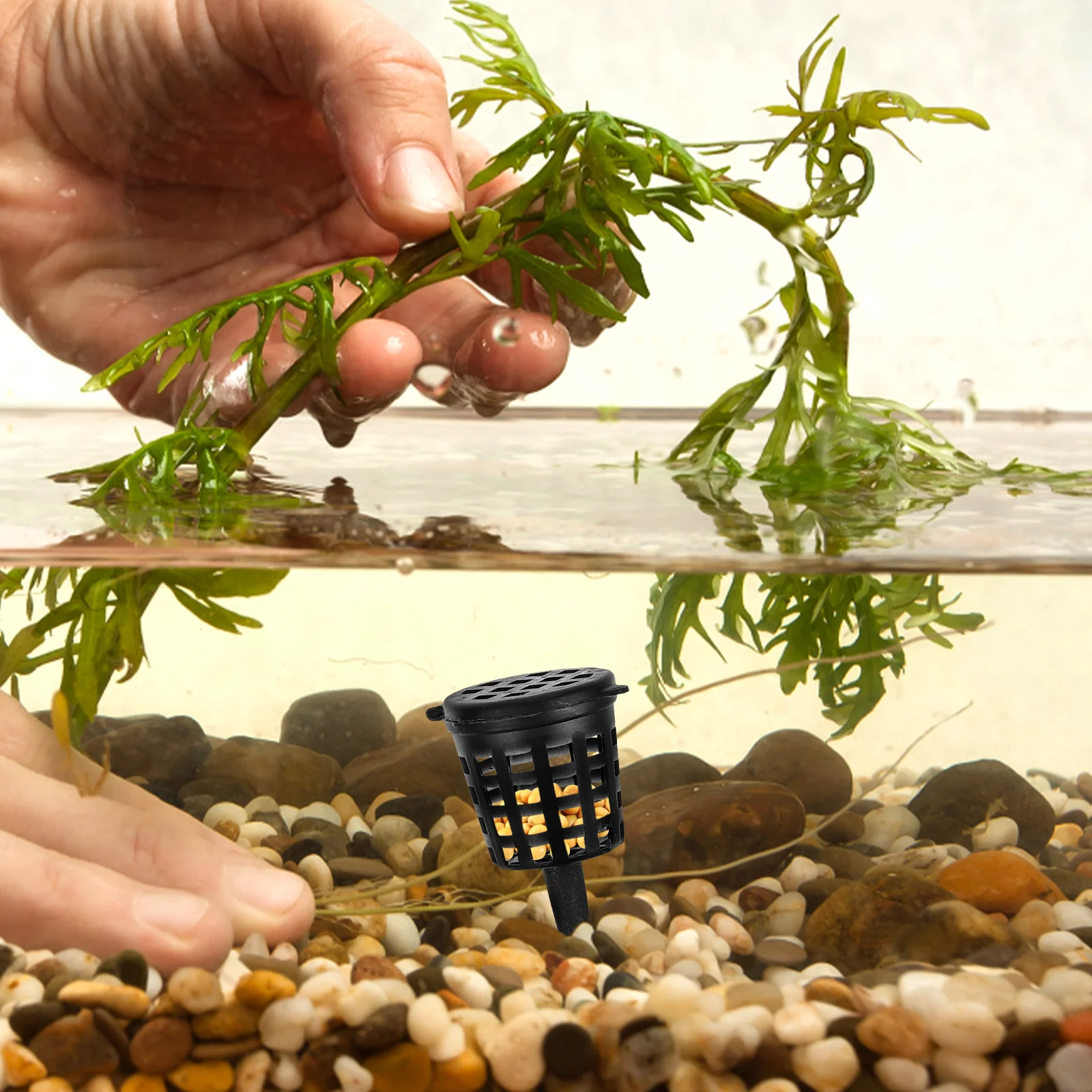 50pcs Baskets Plastic Container With Lid Portable Fertilizer Box For Bonsai Flower Pot Fertilizer Dispenser Garden Tool