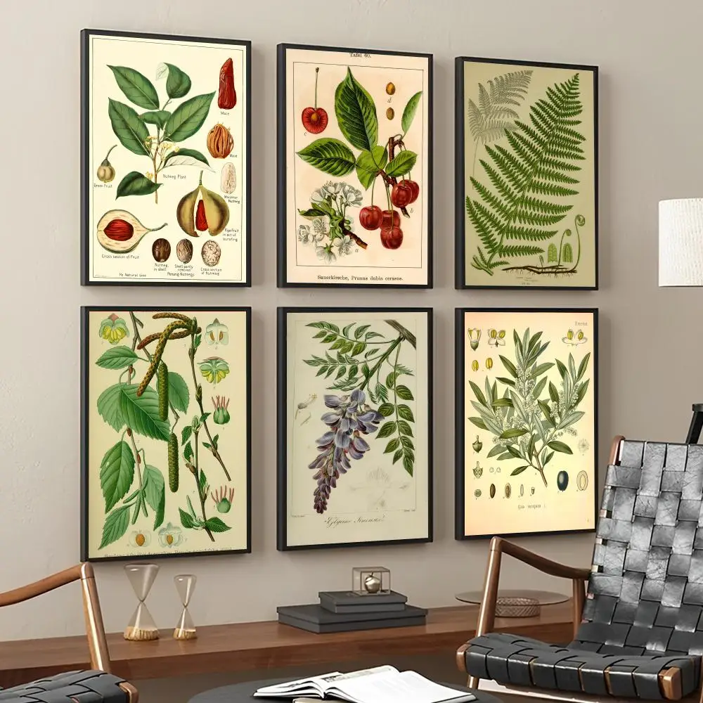 Plant Ieaves Fruit Flowers Illustration Poster Stickers Living Room Bedroom Entrance Cafe Wall Art Decoration PaintingHome Decor