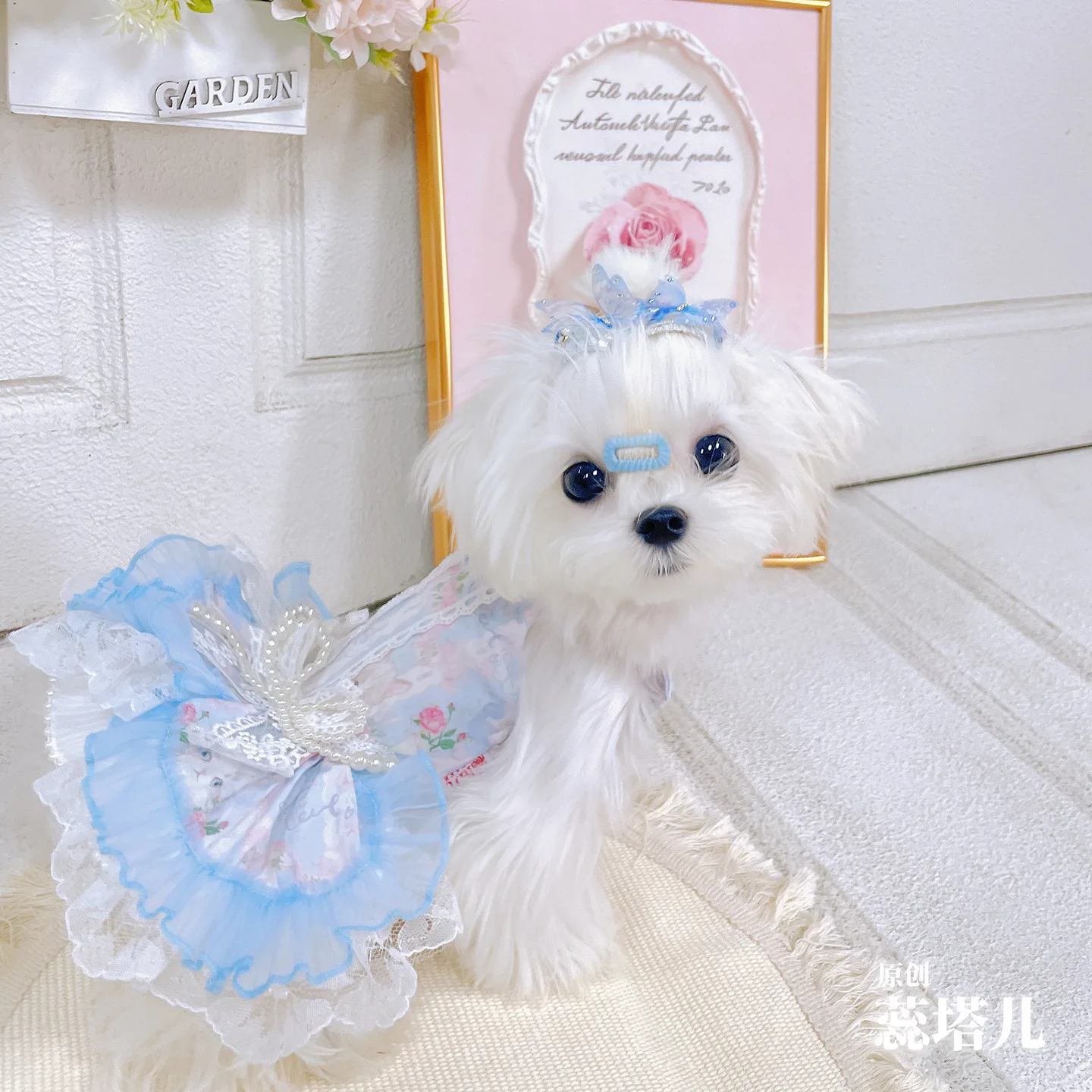 

Светло-голубые милые красивые платья принцессы в стиле Лолиты для маленьких и средних собак, чихуахуа йоркши, одежда для собак, уличные юбки для щенков