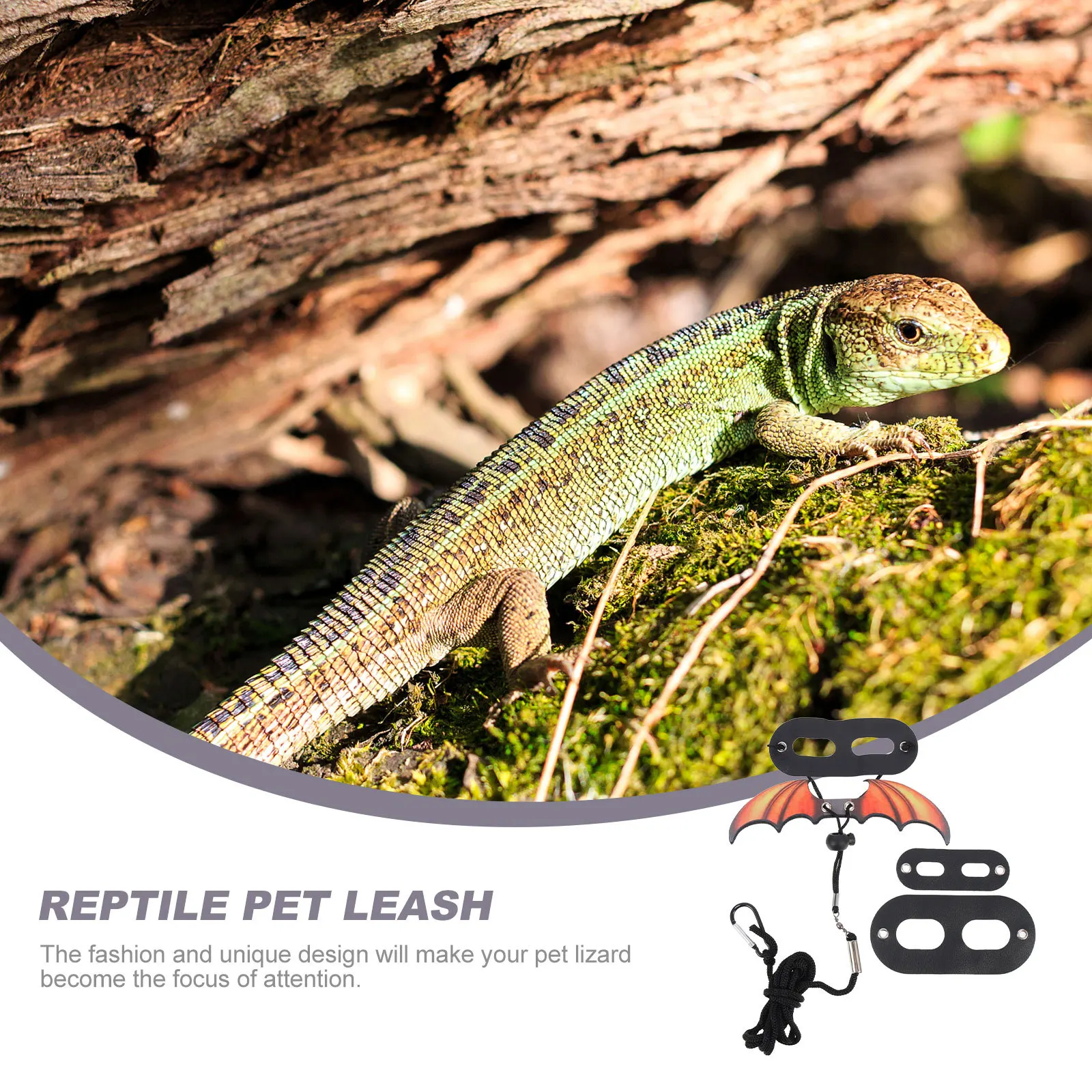 

1Set Lizard Leash Reptile Outdoor Harness Adjustable Gecko Traction Rope Wear-Resistant Portable Walking Accessory for Small