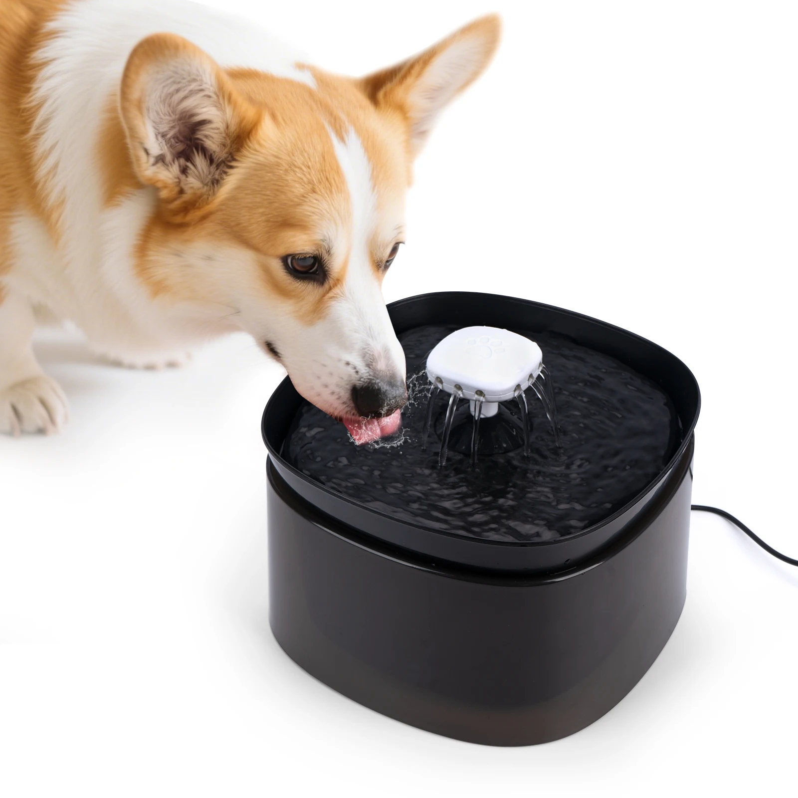 Pet Water Dispenser… - image