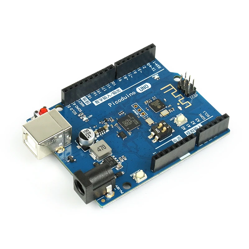 Raspberry PI RP2040 development board MicroPython programming iot development Pcio