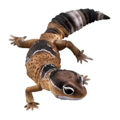 GACHA Ecological Atlas FIGURE  Simulation of African Hemitheconyx Caudicinctus Gecko Joint Mobility ACTION Figure Model Toys