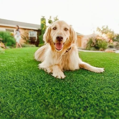 

20mm Artificial Grass Carpet Artificial Plastic Grass Turf Lawn Price Synthetic Artificial Grass