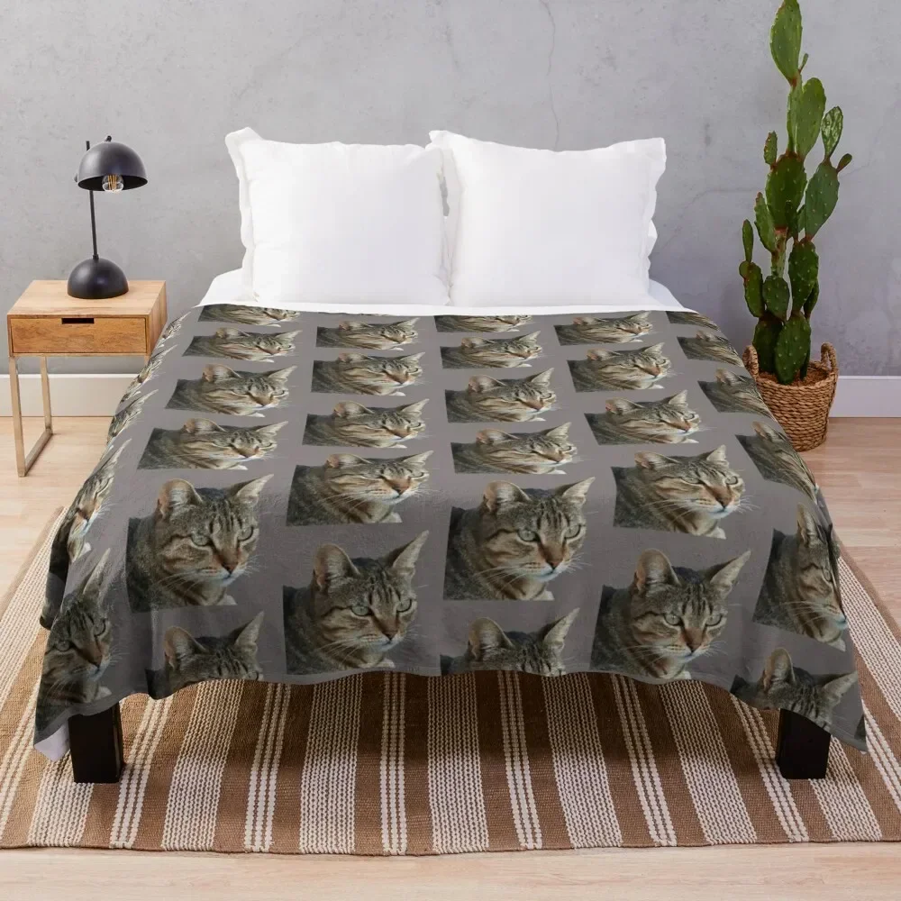 

Stunning Tabby Cat Close Up Portrait Vector Isolated Throw Blanket Luxury Designer Luxury St Blankets