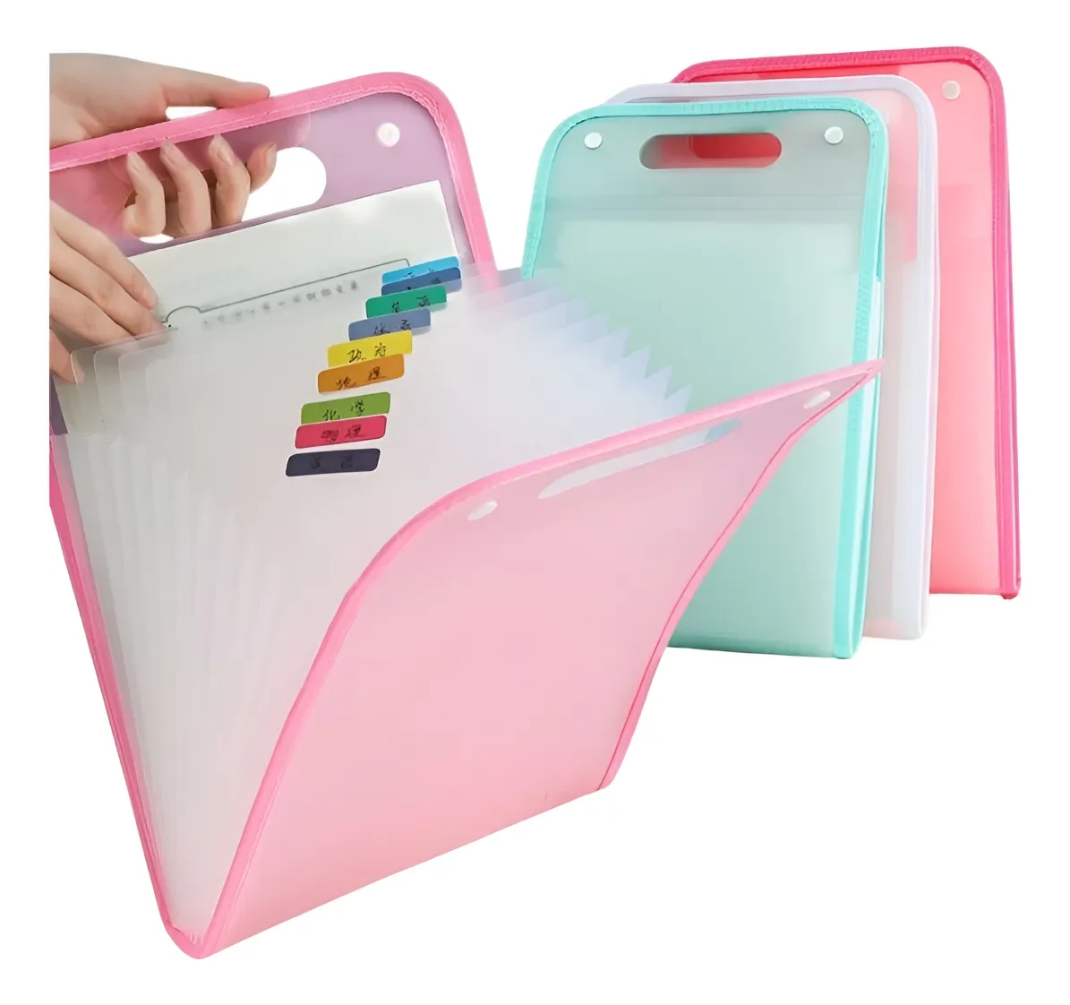 Sanfonada A4 Paste with 12 Partitions Hard Cover Elastic Closure and Labels Organize Documents Evidence and School Jobs