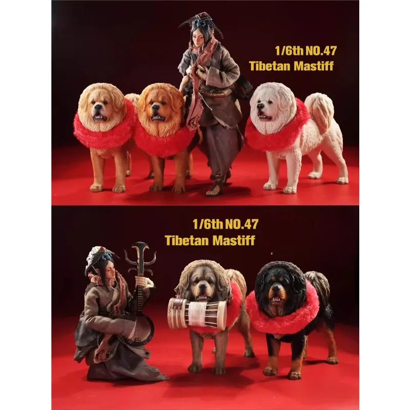 

JXK 1/6 масштабные игрушки, имитация смолы, статуя собаки, тибетский мастиф, модель животного для 12-дюймовых фигурок, украшение куклы для тела