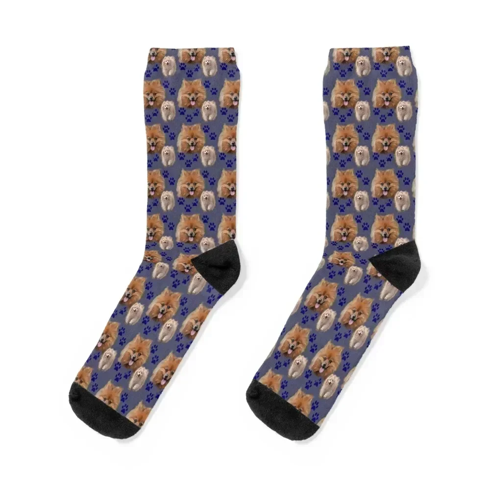 Pomeranians on blue Socks Novelties basketball Wholesale heated Ladies Socks Men's