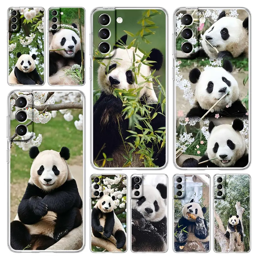 Phone Case For Samsung Galaxy S24 Plus S23 S22 S21 S20 FE Ultra 5G S10 S10E S9 Soft Clear Silicone Cover Fubao panda