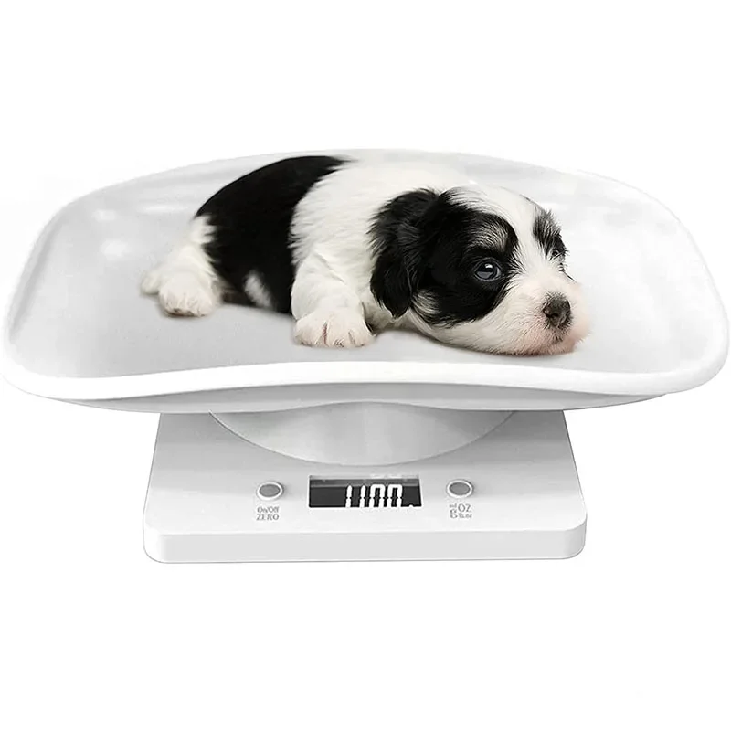 

Small animal pet weighing precision 15kg/33lb digital bird puppy cat scale