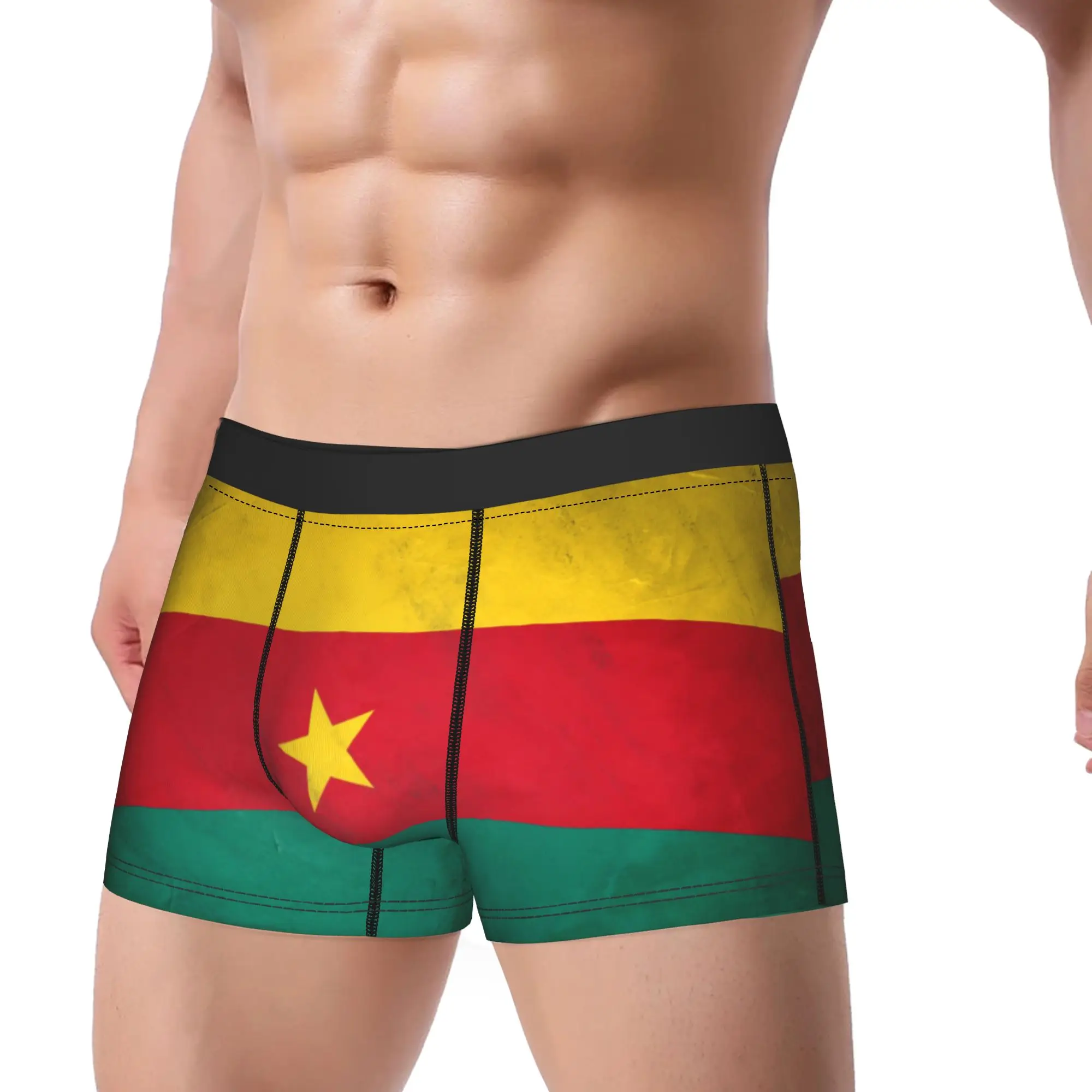 Cameroon Flag Underwear  Sexy Soft Panties Custom Shorts Briefs For Men 3D Pouch Oversize Boxer Shorts