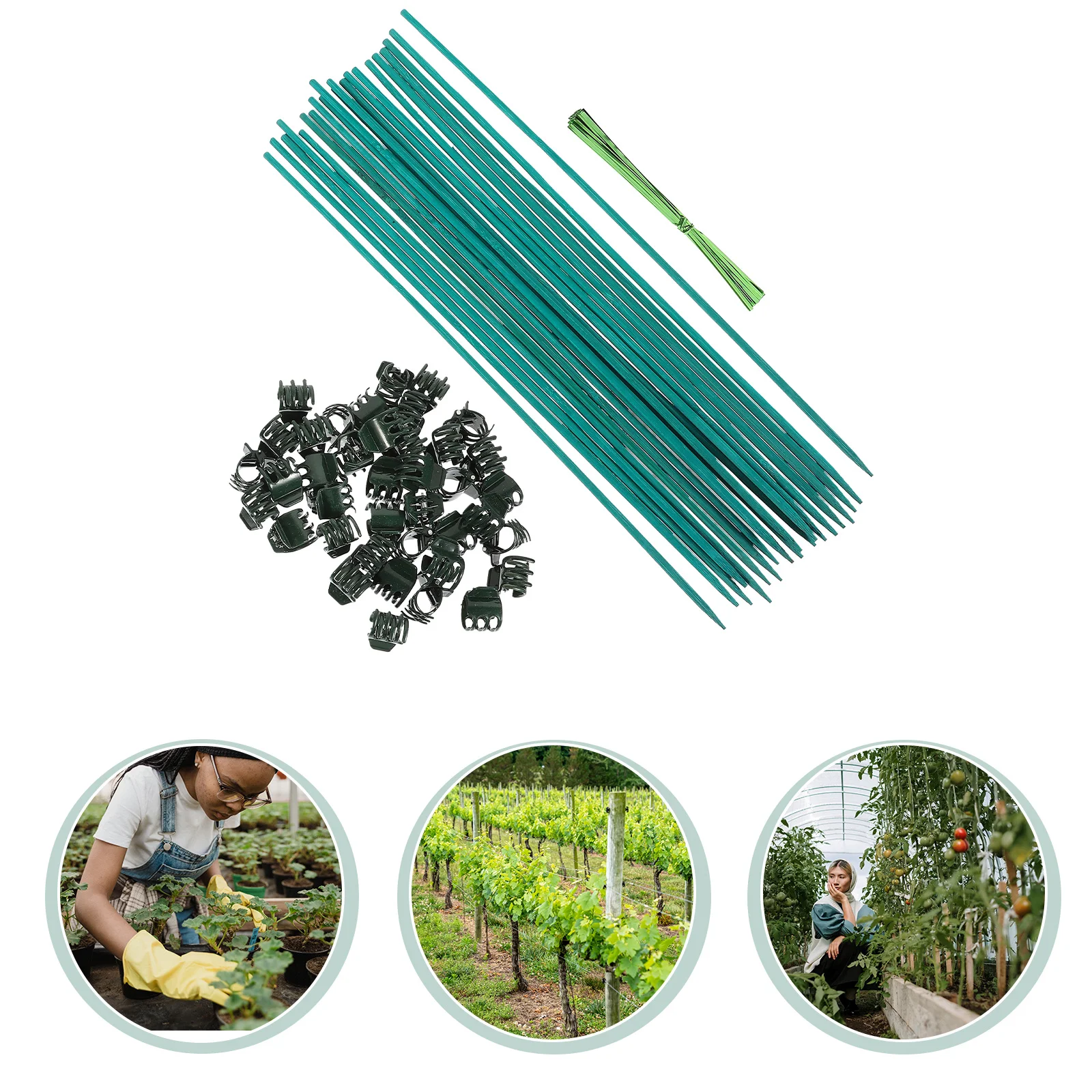 

1Set Flower Support Stakes Bamboo Plant Supports Kit for Garden Climbing Vegetables Indoor Plants Plant Support